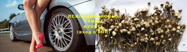 jwh Беломорск