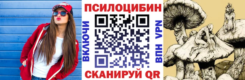 дарнет шоп  Волчанск  Псилоцибиновые грибы прущие грибы 